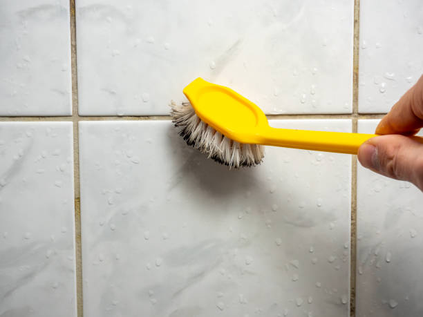 Best Mold Remediation for Specific Building Types in Saluda, SC