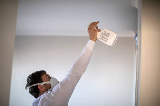 Best Residential Mold Remediation in Saluda, SC